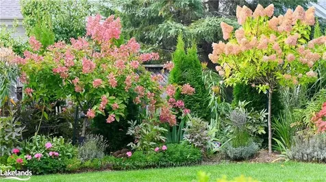 28 Marine View Drive Collingwood ON L9Y 5A3