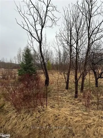 6255 Vancise Court Clearview ON L0M 1S0