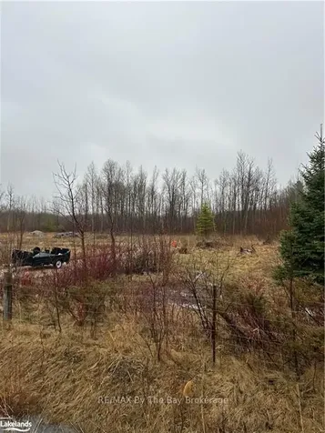 6255 Vancise Court Clearview ON L0M 1S0