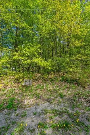 Lot 41 Wakunda Crescent Tiny ON L9M 0B2