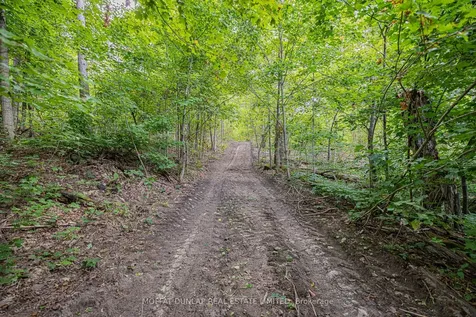 305 Bass Lake Side Road Oro-medonte ON L0L 2E0
