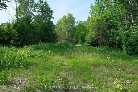 39 Broadview Collingwood ON L9Y 0X2