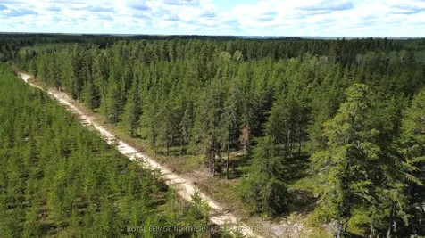 Con 3 Point Lot 5 Bowman N/a Black River-matheson ON P0K 1N0