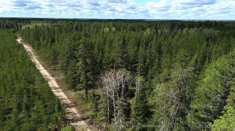 Con 3 Point Lot 5 Bowman N/a Black River-matheson ON P0K 1N0