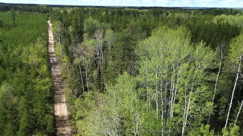 Con 3 Point Lot 5 Bowman N/a Black River-matheson ON P0K 1N0