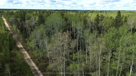 Con 3 Point Lot 5 Bowman N/a Black River-matheson ON P0K 1N0