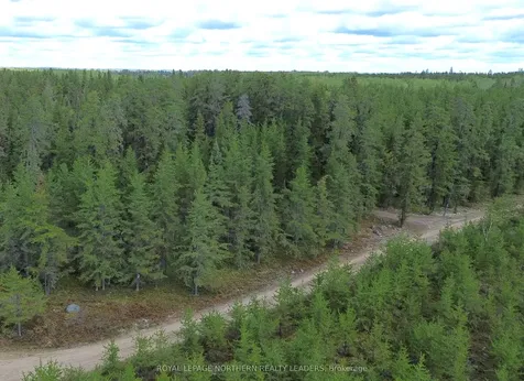 Con 3 Point Lot 5 Bowman N/a Black River-matheson ON P0K 1N0