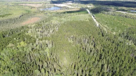 Con 3 Point Lot 5 Bowman N/a Black River-matheson ON P0K 1N0