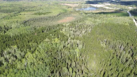 Con 3 Point Lot 5 Bowman N/a Black River-matheson ON P0K 1N0