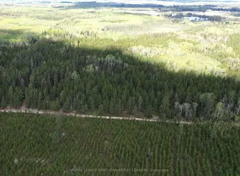 Con 3 Point Lot 5 Bowman N/a Black River-matheson ON P0K 1N0