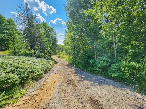 Lot 3 Plan 6m499, North Munro Lake Road Black River-matheson ON P0K 1N0