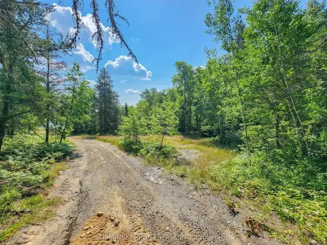 Lot 3 Plan 6m499, North Munro Lake Road Black River-matheson ON P0K 1N0