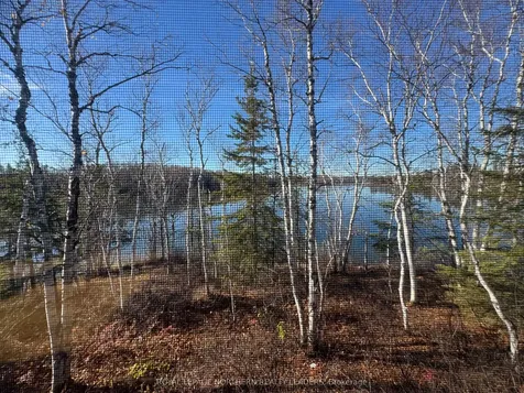 Lot 25 Munro Twp N/a Black River-matheson ON P0K 1N0