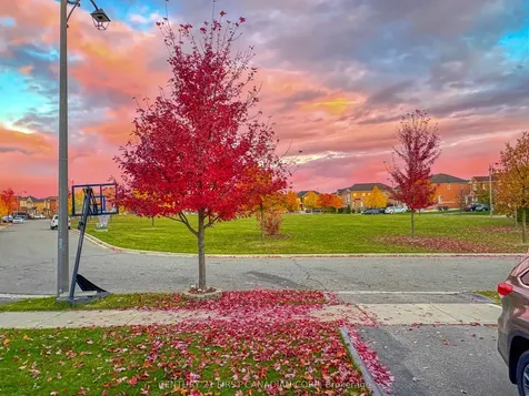 8 Keirstead Trail Brampton ON L6R 0G7