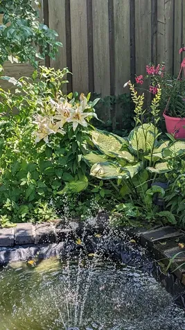 21 Palmolive Street Brampton ON L6R 1P5