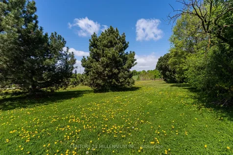 56 Nuttall Street Brampton ON L6S 4V4