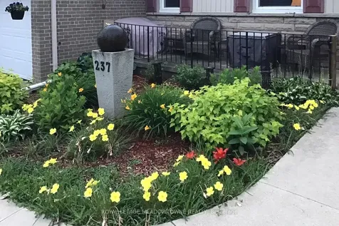 237 Elizabeth Street S Brampton ON L6Y 1S2