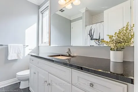 313 Peregrine Way Milton ON L9T 7N6