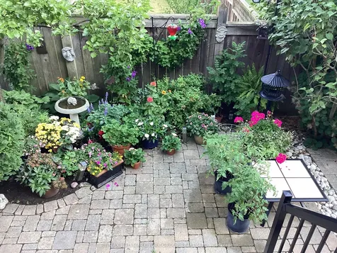 202 Duskywing Way Oakville ON L6L 6X4