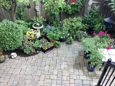 202 Duskywing Way Oakville ON L6L 6X4