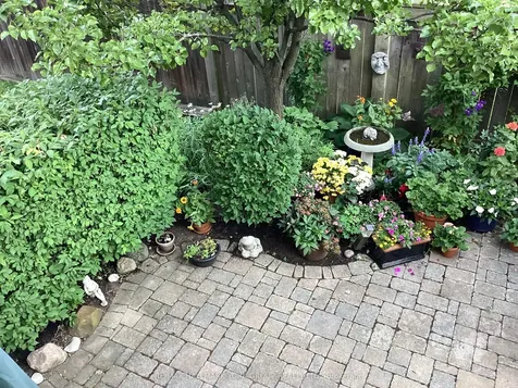 202 Duskywing Way Oakville ON L6L 6X4
