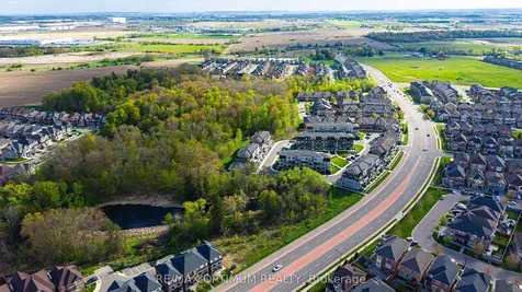 50 Knotsberry Circle Brampton ON L6Y 6G1