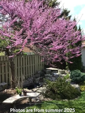 4 Neiltree Court Toronto ON M9C 5C3