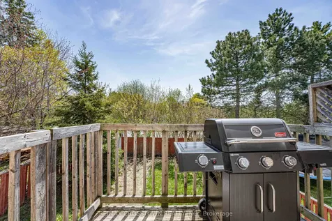 24 Cassander Crescent Brampton ON L6Z 1Z2