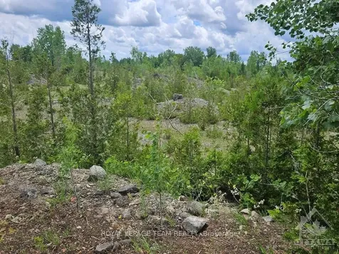 6678 Concession 6 Road E Augusta ON K0E 1X0