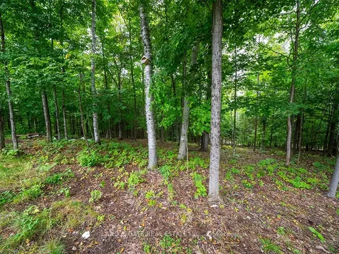 1528 South Baptiste Lake Road Bancroft ON K0L 1C0