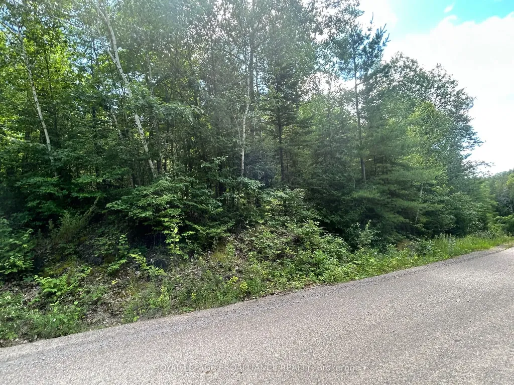 0 Trebbien Road Bonnechere Valley ON K0J 1T0