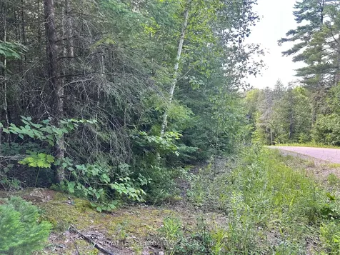 0 Trebbien Road Bonnechere Valley ON K0J 1T0