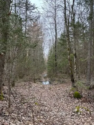 Con 1 Lot 12 N/a Parry Sound Remote Area ON P0A 1X0