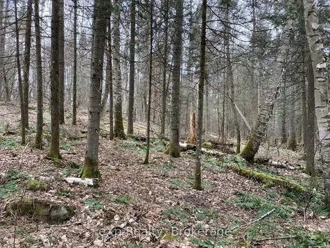 Con 1 Lot 12 N/a Parry Sound Remote Area ON P0A 1X0