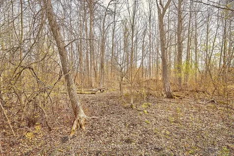 504224 89 Highway Amaranth ON L9V 1P6