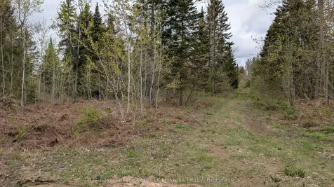 395 Stephenson 1 Road E Bracebridge ON P0B 1L0