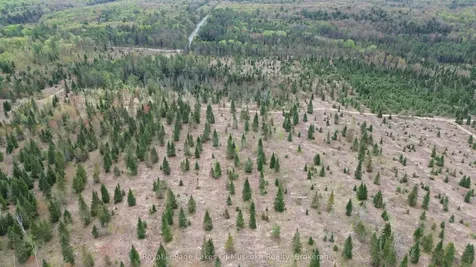 395 Stephenson 1 Road E Bracebridge ON P0B 1L0