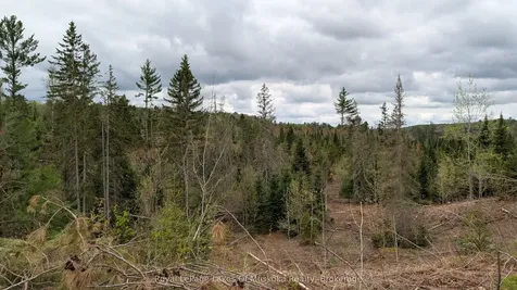 395 Stephenson 1 Road E Bracebridge ON P0B 1L0