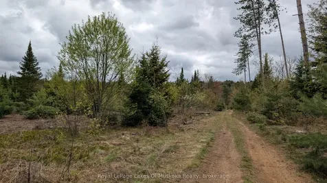 395 Stephenson 1 Road E Bracebridge ON P0B 1L0