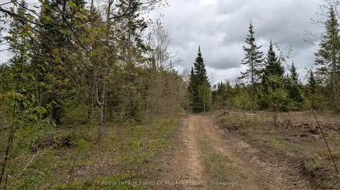 395 Stephenson 1 Road E Bracebridge ON P0B 1L0