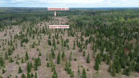 395 Stephenson 1 Road E Bracebridge ON P0B 1L0