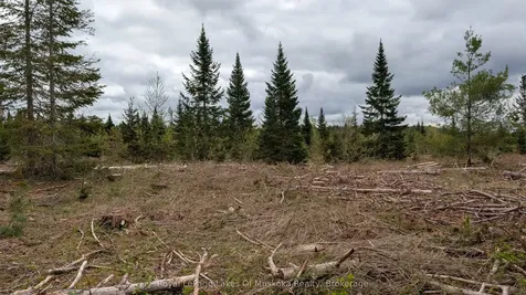 395 Stephenson 1 Road E Bracebridge ON P0B 1L0