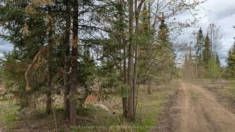 395 Stephenson 1 Road E Bracebridge ON P0B 1L0