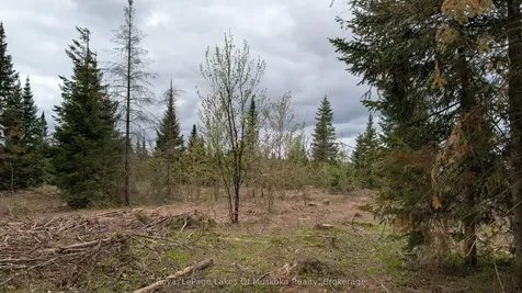 395 Stephenson 1 Road E Bracebridge ON P0B 1L0