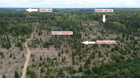 395 Stephenson 1 Road E Bracebridge ON P0B 1L0