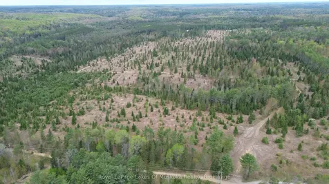 395 Stephenson 1 Road E Bracebridge ON P0B 1L0