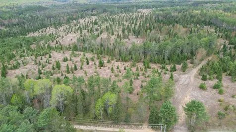 395 Stephenson 1 Road E Bracebridge ON P0B 1L0