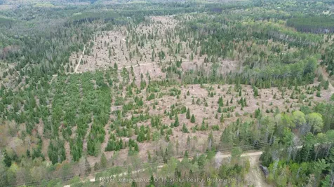 395 Stephenson 1 Road E Bracebridge ON P0B 1L0