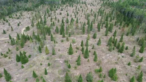 395 Stephenson 1 Road E Bracebridge ON P0B 1L0