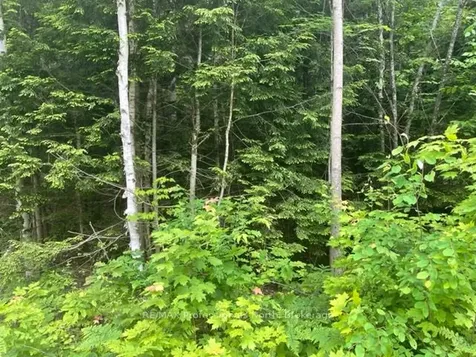 0 Big Hawk Lake Road Algonquin Highlands ON K0M 1S0